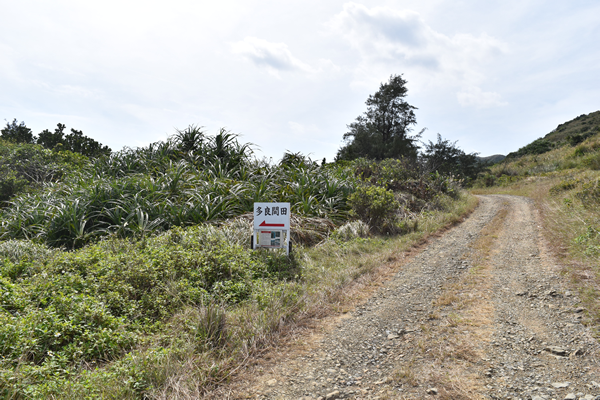 石垣島の平久保東線