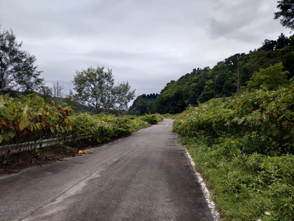 シューパロダムに沈んだ大夕張