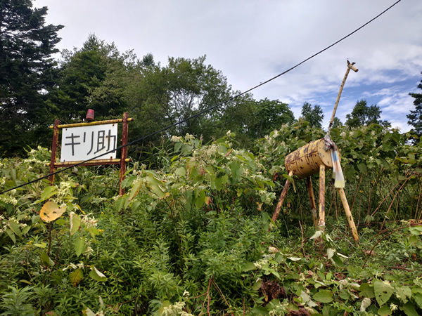 シューパロダムに沈んだ大夕張