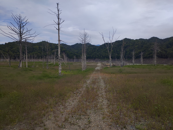 シューパロダムに沈んだ大夕張