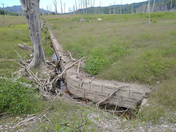 シューパロダムに沈んだ大夕張