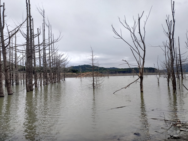 シューパロダムに沈んだ大夕張