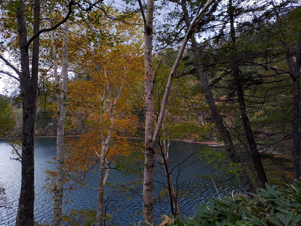 千と千尋の神隠しの世界、然別湖の湖底線路