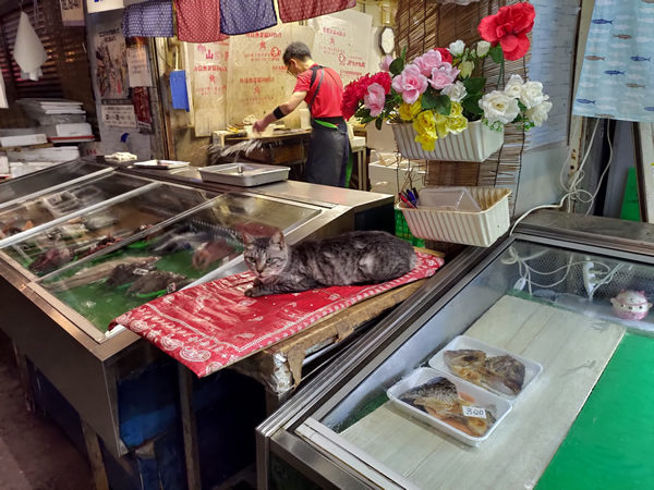 北九州市若松の衰退商店街、バラック群