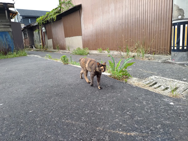 北九州市若松の衰退商店街、バラック群