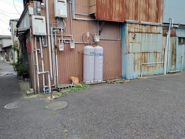 北九州市若松の衰退商店街、バラック群