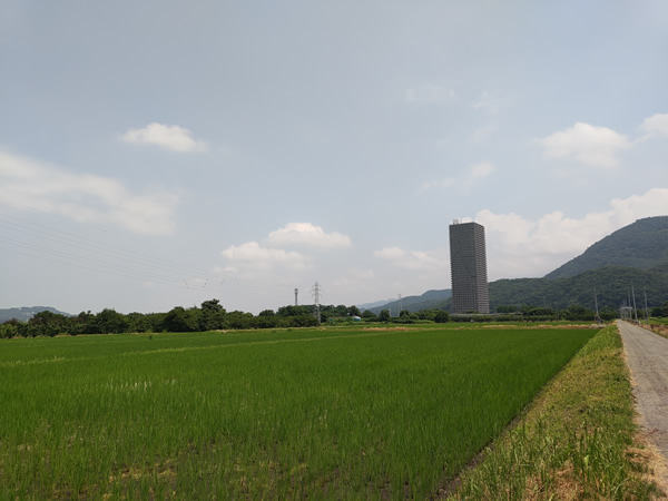 田園地帯のタワマン、スカイタワー41