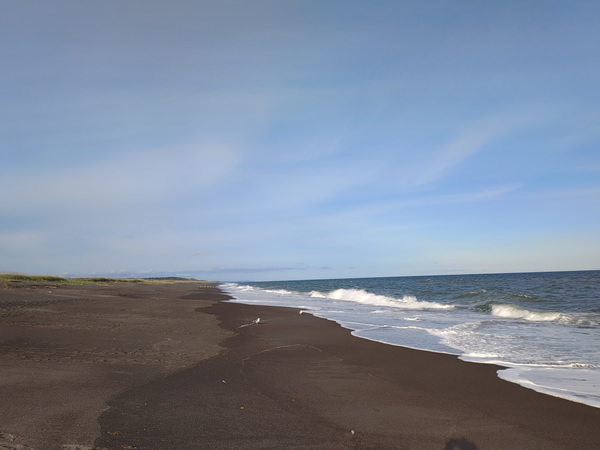 湧洞沼の行き止まり