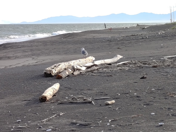 湧洞沼の行き止まり