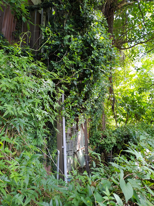 長崎にあるロシア領、今はバラック廃墟