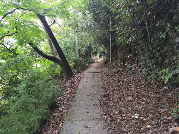十津川村の二村小学校跡、手作りの廃トンネル