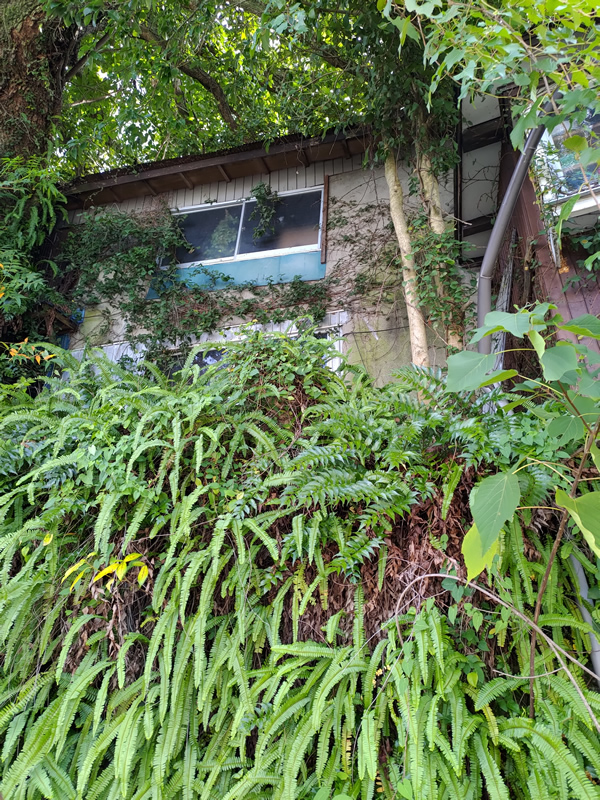 長崎にあるロシア領、今はバラック廃墟