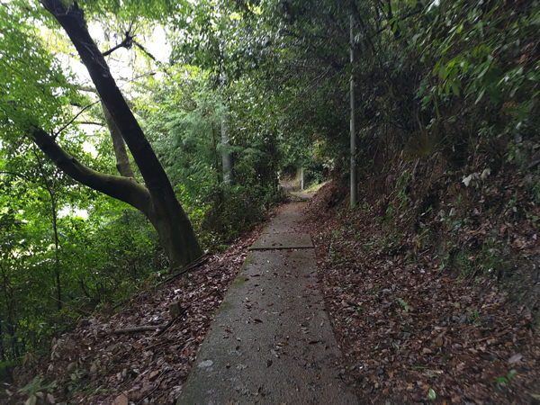 十津川村の二村小学校跡、手作りの廃トンネル
