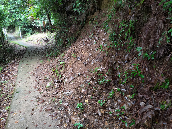 十津川村の二村小学校跡、手作りの廃トンネル