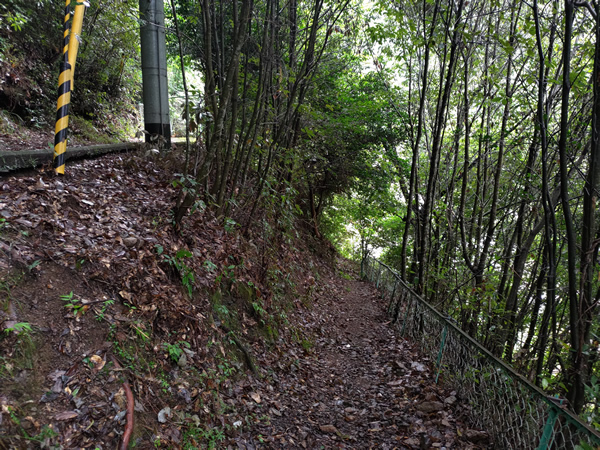 十津川村の二村小学校跡、手作りの廃トンネル