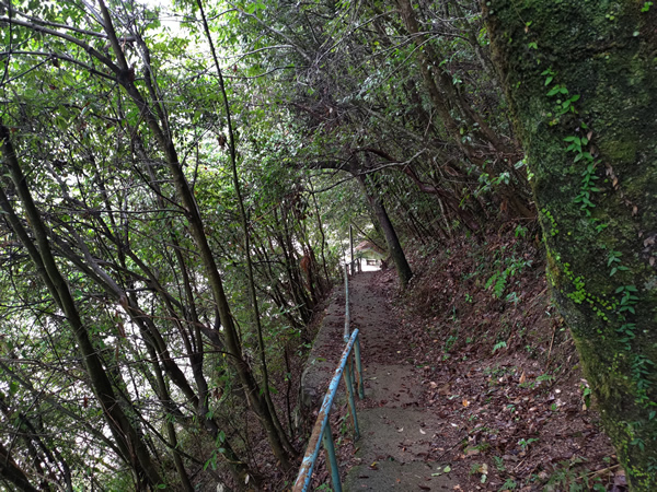 十津川村の二村小学校跡、手作りの廃トンネル