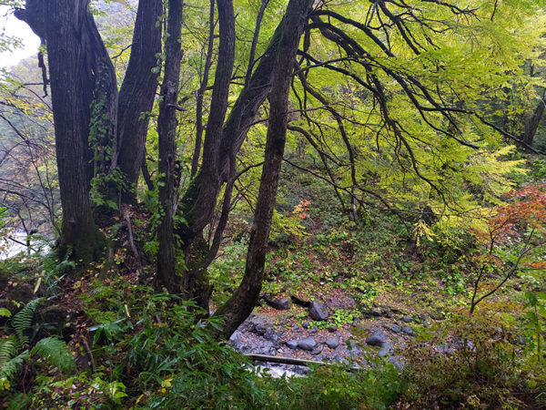 天人峡温泉の廃墟