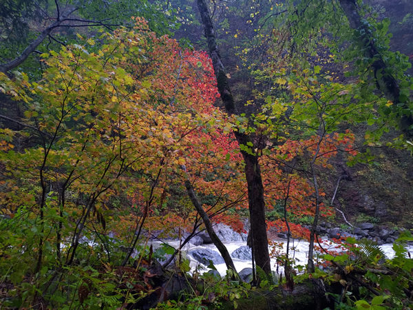天人峡温泉の廃墟