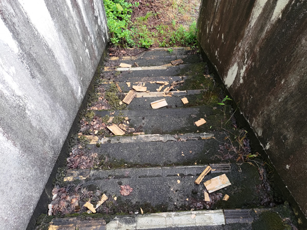 十津川村の二村小学校跡、手作りの廃トンネル