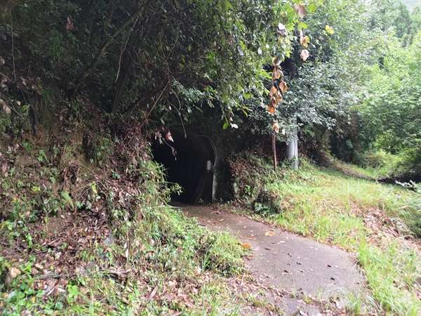 十津川村の二村小学校跡、手作りの廃トンネル