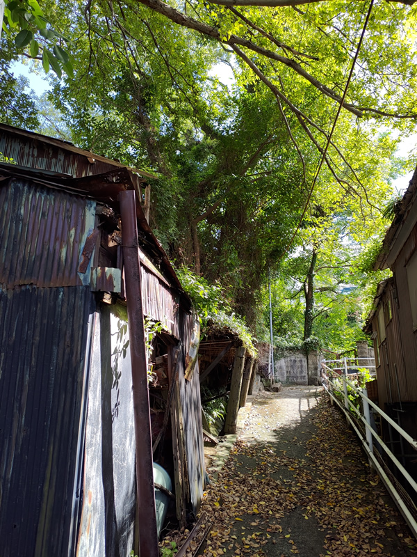 長崎にあるロシア領、今はバラック廃墟