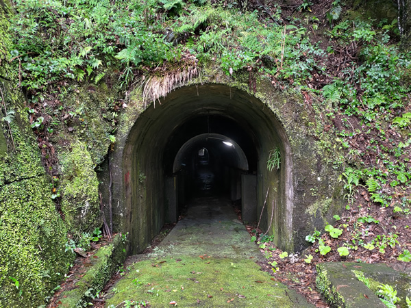 十津川村の二村小学校跡、手作りの廃トンネル