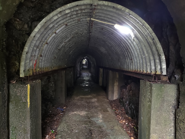 十津川村の二村小学校跡、手作りの廃トンネル