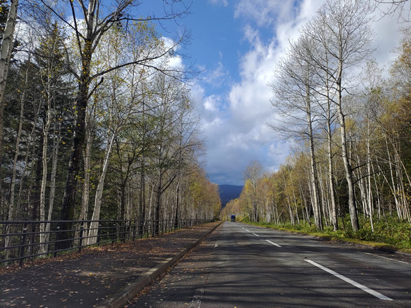 美しすぎる廃駅、幌加駅と士幌線の遺構