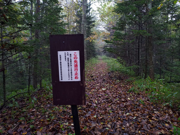 美しすぎる廃駅、幌加駅と士幌線の遺構