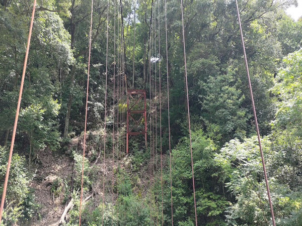 十津川村の廃集落に通じる鹿淵吊り橋