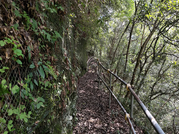 十津川村の廃集落に通じる鹿淵吊り橋