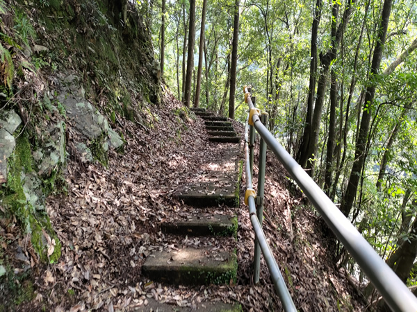 十津川村の廃集落に通じる鹿淵吊り橋