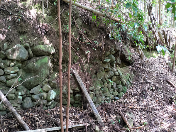 十津川村の廃集落に通じる鹿淵吊り橋