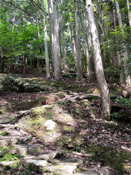 十津川村の廃集落に通じる鹿淵吊り橋