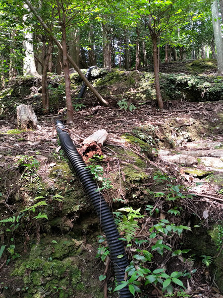 十津川村の廃集落に通じる鹿淵吊り橋