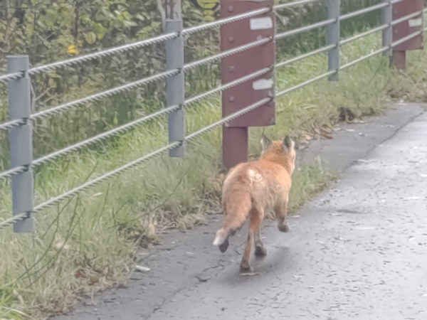 美しすぎる廃駅、幌加駅と士幌線の遺構