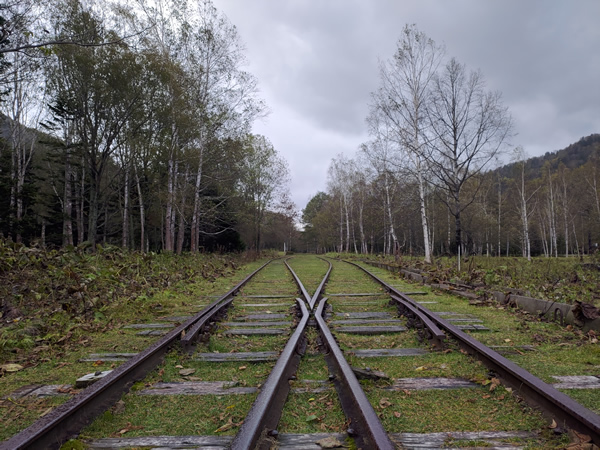 美しすぎる廃駅、幌加駅と士幌線の遺構