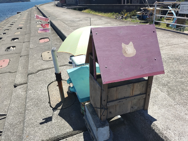 猫の島、佐柳島での廃墟、空き家探訪