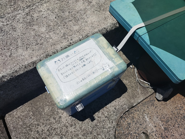 猫の島、佐柳島での廃墟、空き家探訪