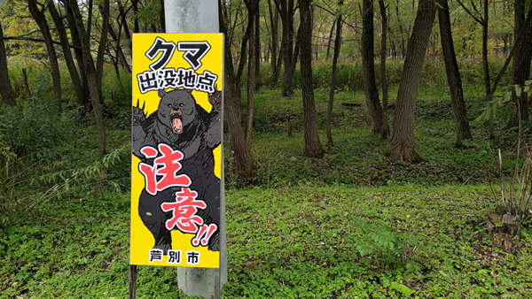 廃線の絶景「旧三井芦別鉄道炭山」川橋梁