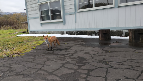 北海道の廃線、深名線跡の添牛内駅
