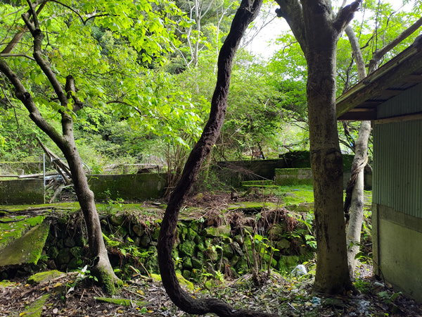 那智勝浦の岩鼻温泉、ステンレス流し台の湯