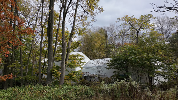 法令違反がひどすぎて閉園に追い込まれたノースサファリサッポロ