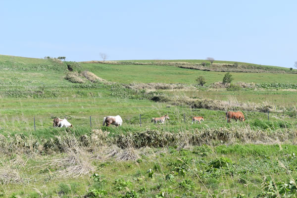 2026年4月から解体が始まるオトンルイ風力発電所の見納め