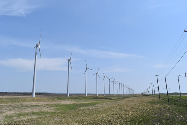 2026年4月から解体が始まるオトンルイ風力発電所の見納め